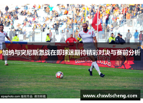 加纳与突尼斯激战在即球迷期待精彩对决与赛前分析