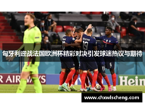 匈牙利迎战法国欧洲杯精彩对决引发球迷热议与期待